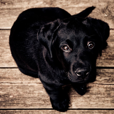 CC在线压力测试