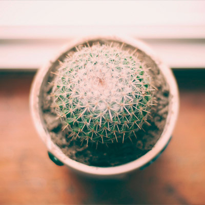 网站攻击工具手机版